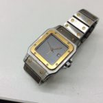 サントスガルベLM