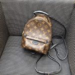 ヴィトン パームスプリングスミニ M44873